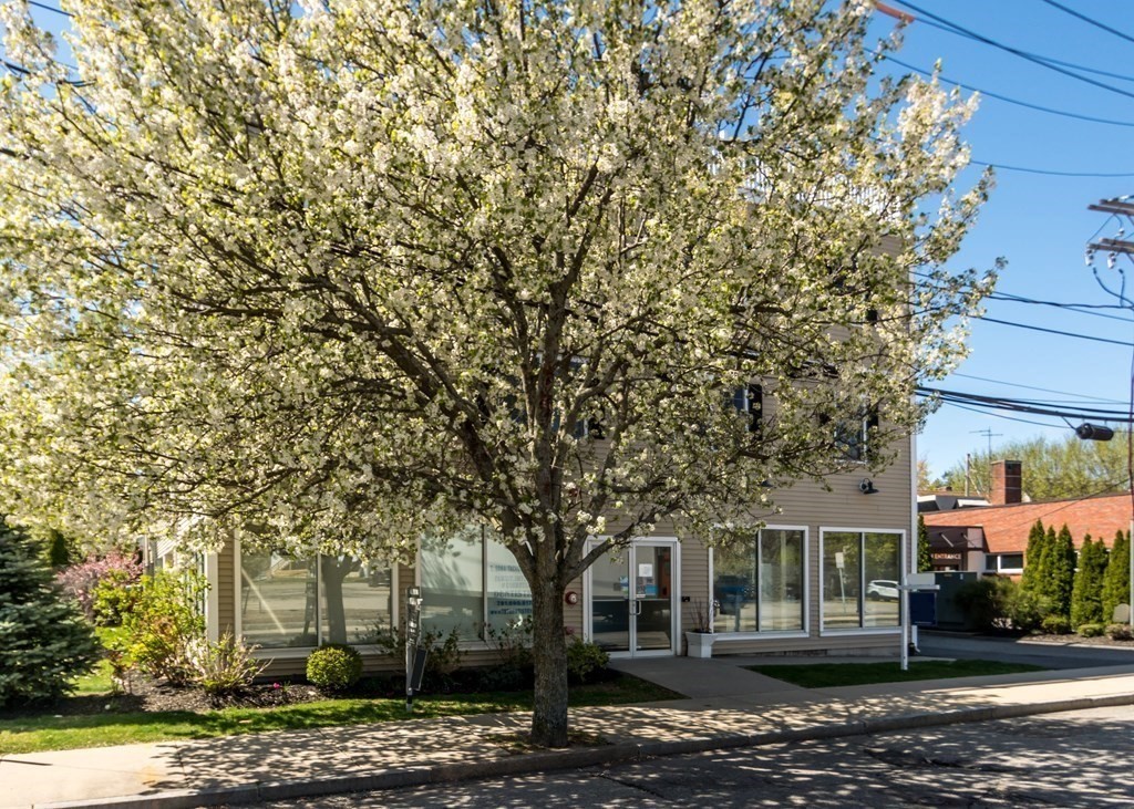 29 Spruce Street, Unit 23 Waltham, MA 02453 - Photo 23 of 26 front view of a house with a tree