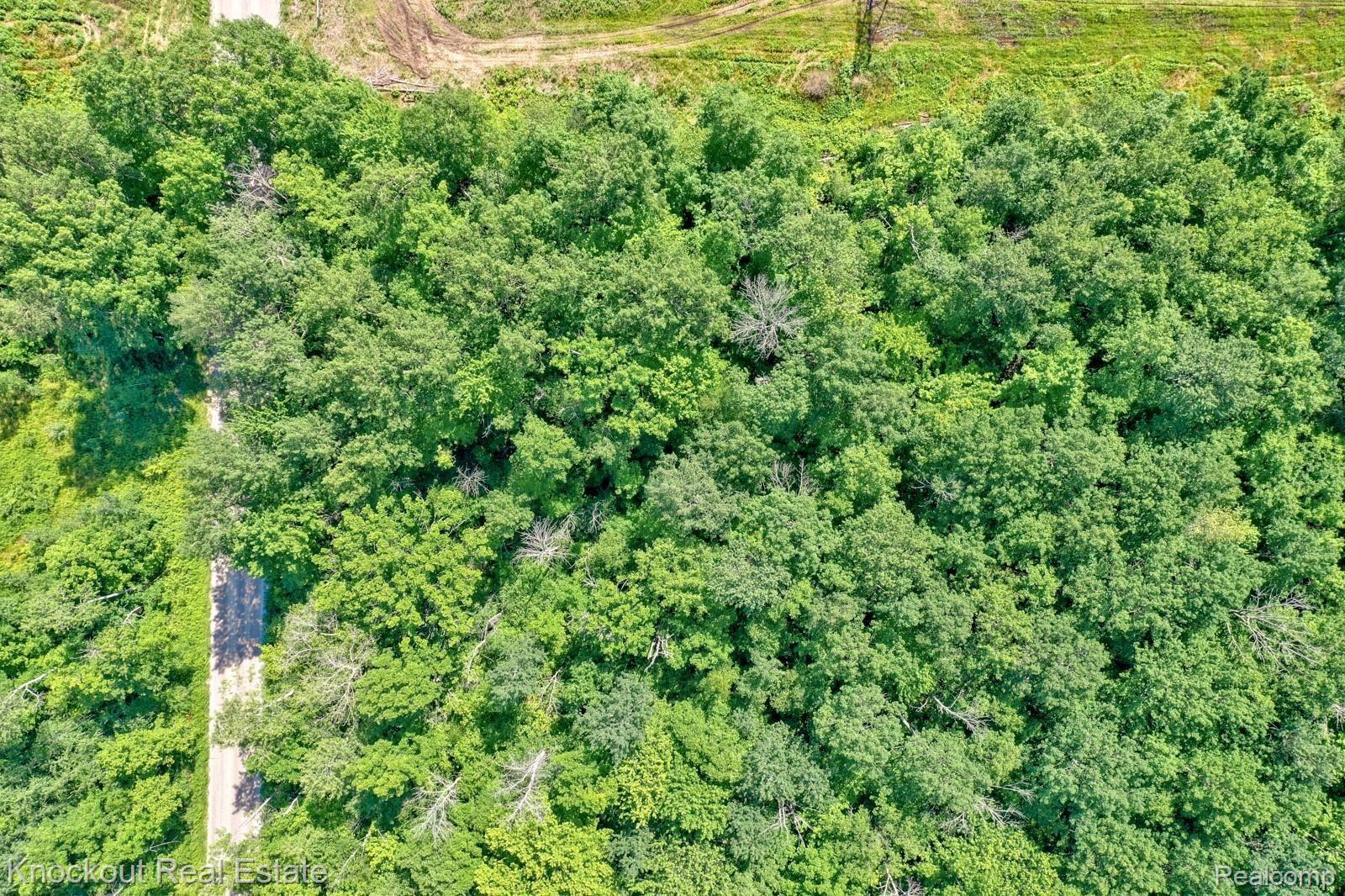 1000 West Kitchen Road Rhodes, MI 48652 - Photo 10 of 34 Kitchen Lots Bay County-7.jpg