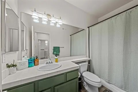 a bathroom with a sink a toilet a mirror and shower curtain