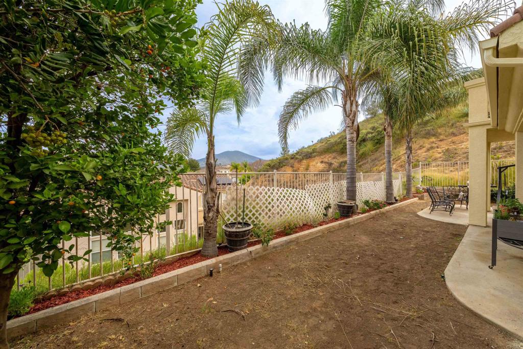 2007 Pleasant Waters Court Spring Valley, CA 91977 - Photo 20 of 22 a row of palm trees in front of a building