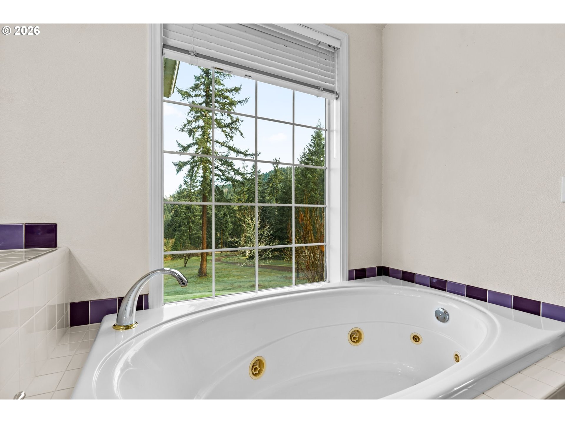 32438 Wilson Creek Road Cottage Grove, OR 97424 - Photo 27 of 48