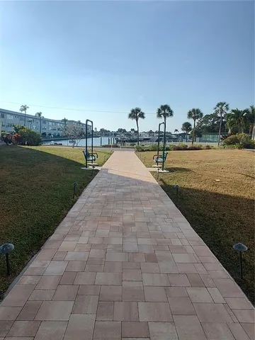 a view of a backyard