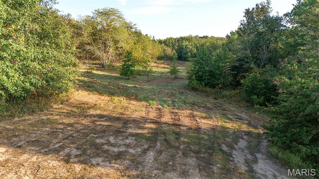 9 Hopkins Road Perry, MO 63462 - Photo 2 of 33