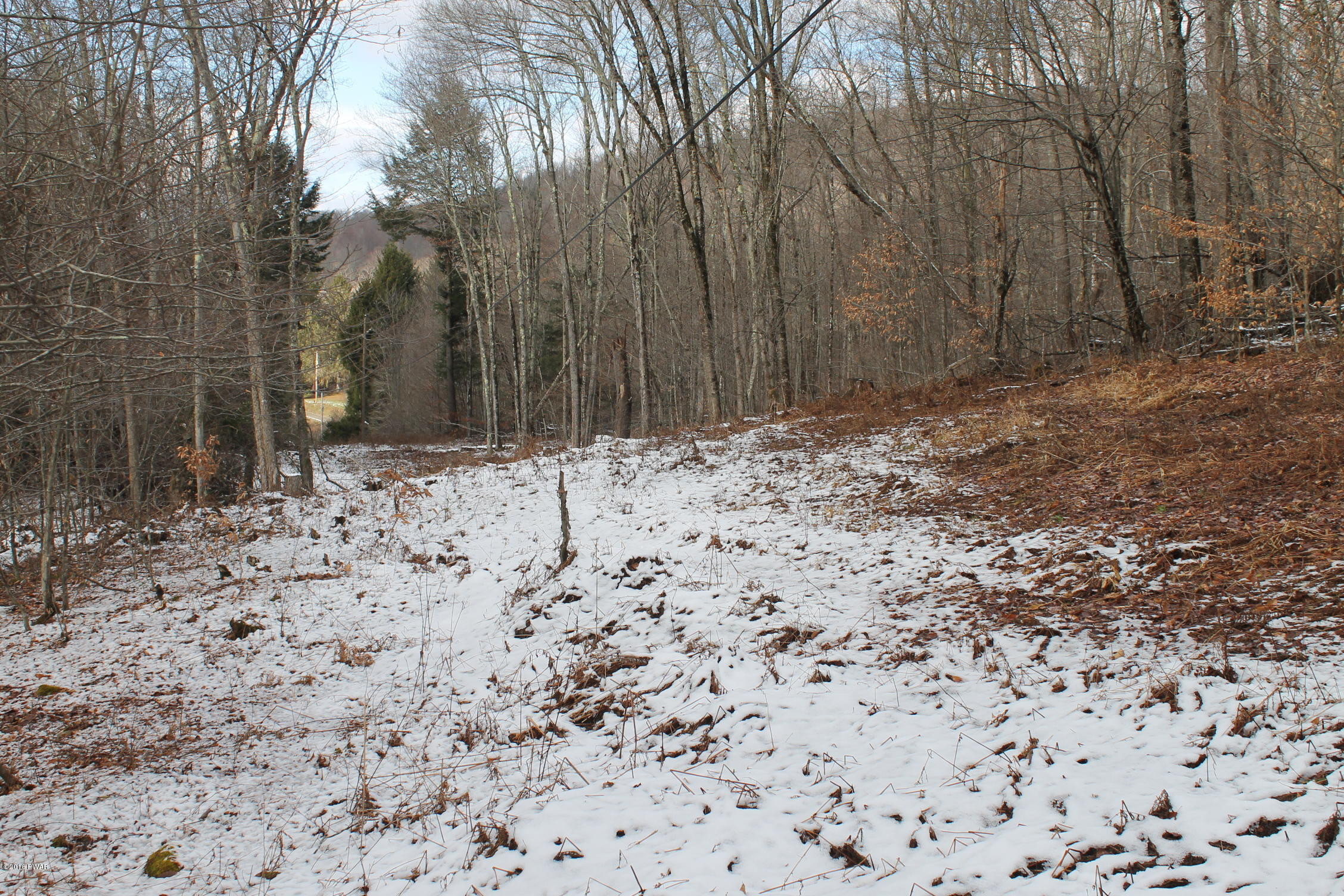 Rd Road East Branch, NY 13756 - Photo 4 of 9