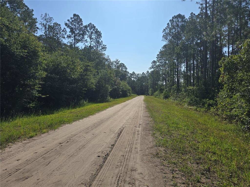 5446 Mango Avenue Bunnell, FL 32110 - Photo 15 of 17