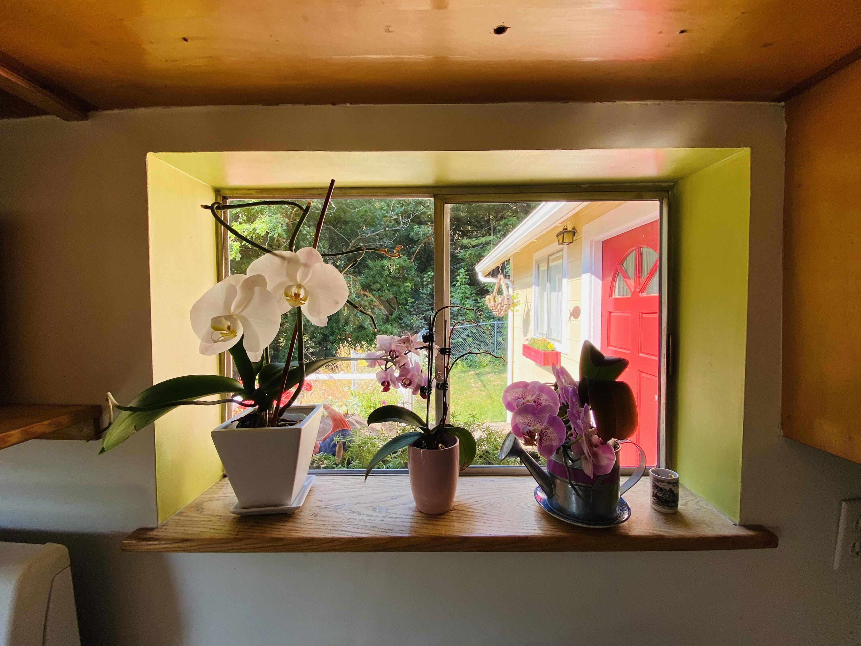 125 Madrone Road Weott, CA 95571 - Photo 23 of 68 IMG-2119