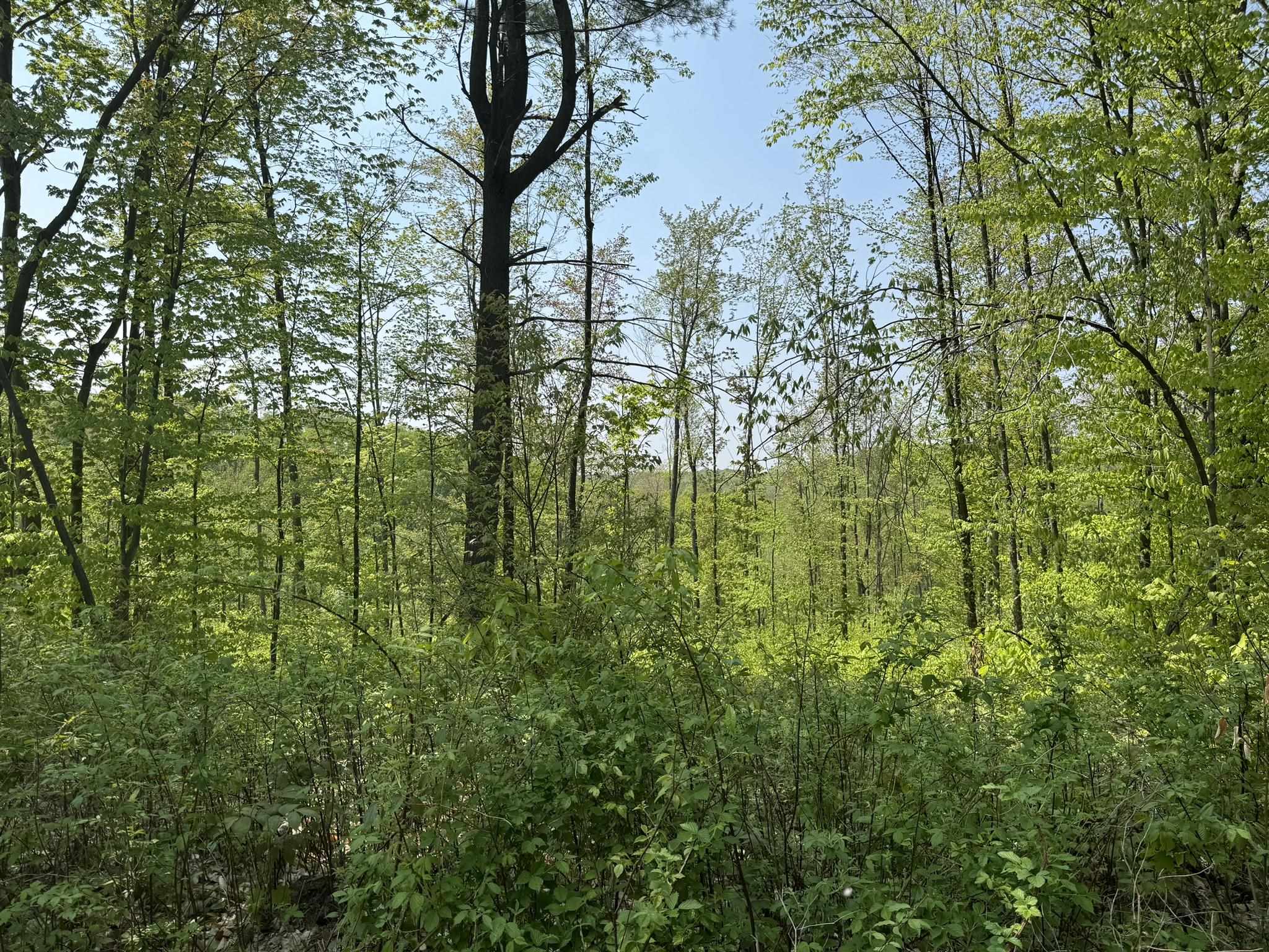 12499 23 Mile Road Tustin, MI 49688 - Photo 61 of 76 1922802-53d974a8-4f34-4131-b53a-f3465dd1bad5.JPG