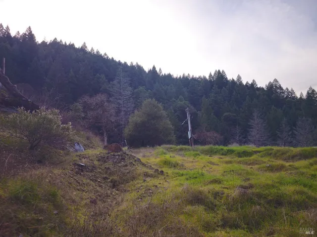 a view of a backyard of a house