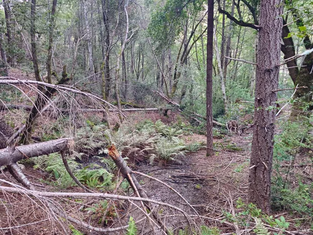a view of an outdoor space