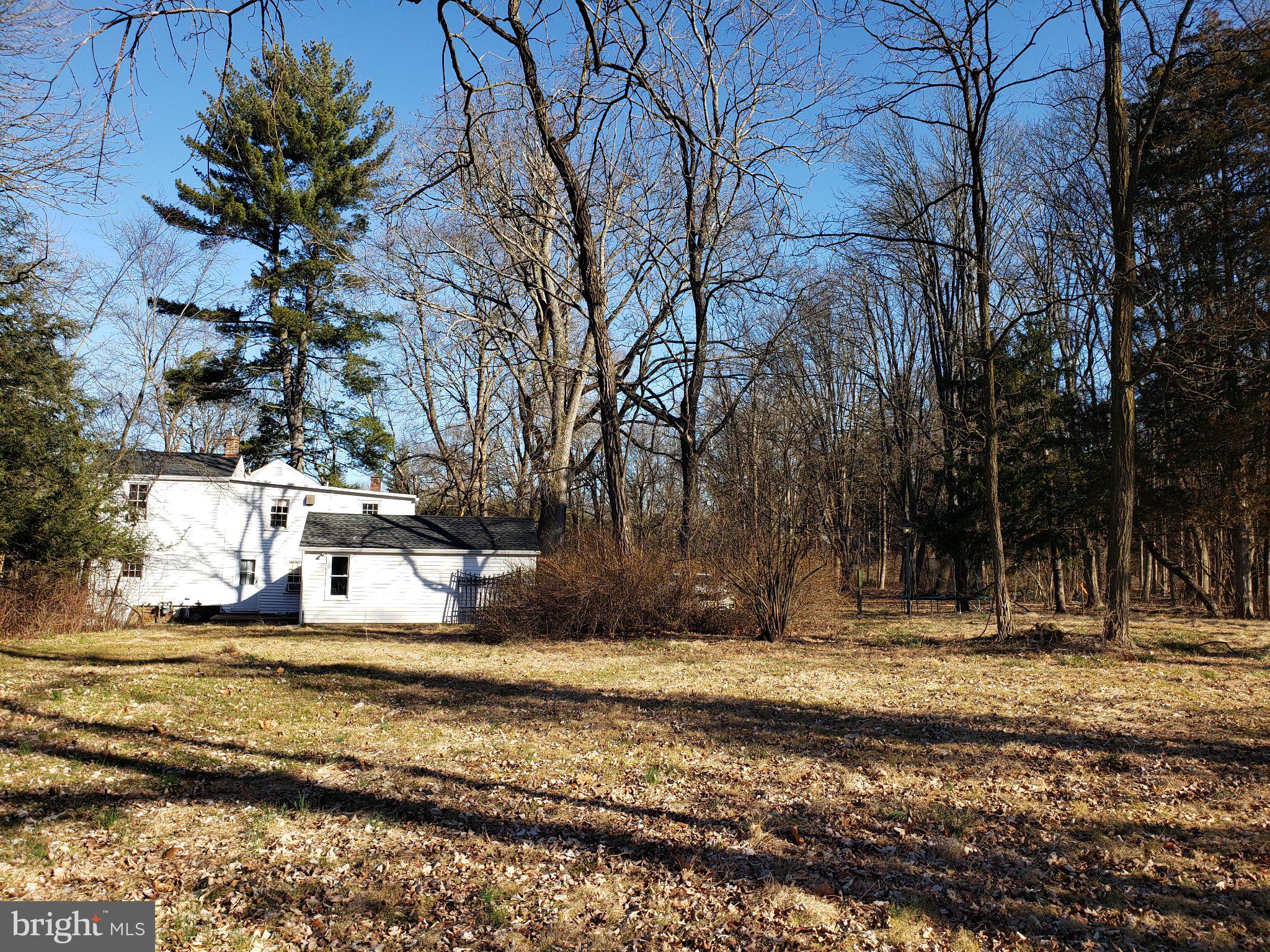 600 Mercer Road Princeton, NJ 08540 - Photo 11 of 22 Serene woodland retreat awaits you.