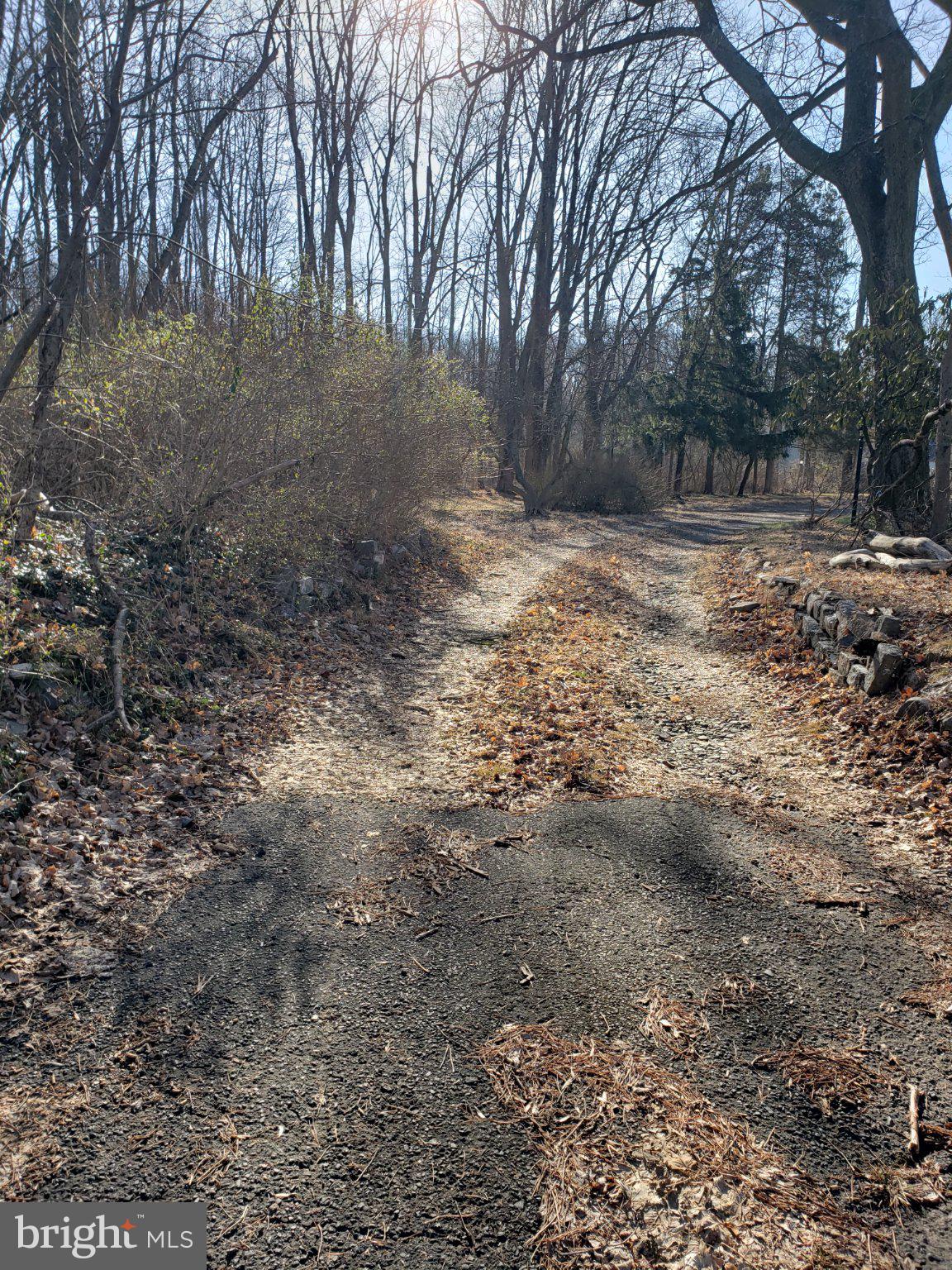 600 Mercer Road Princeton, NJ 08540 - Photo 13 of 22 Serene path through winter woods.