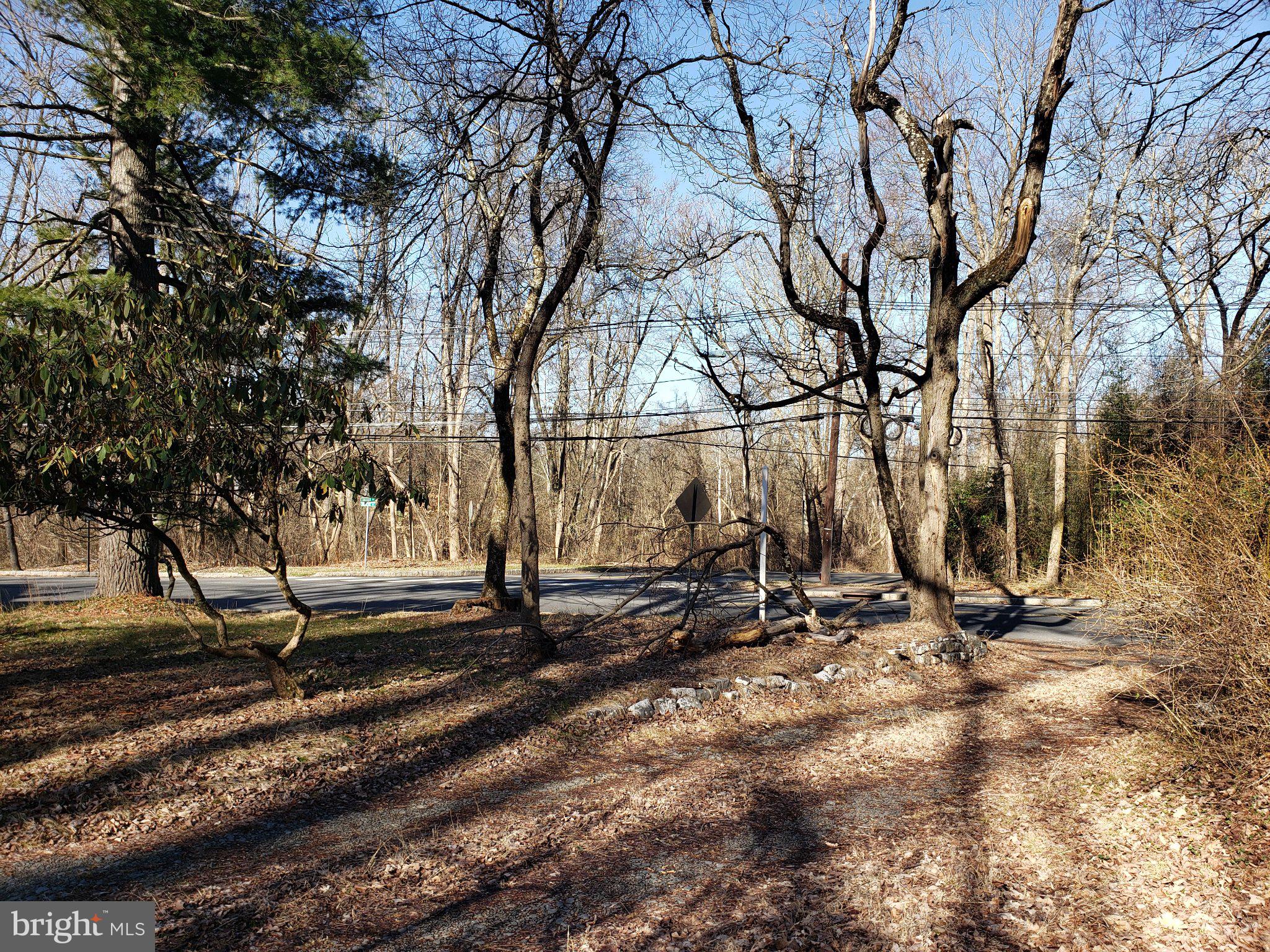 600 Mercer Road Princeton, NJ 08540 - Photo 14 of 22 Serene woodland path awaits exploration.