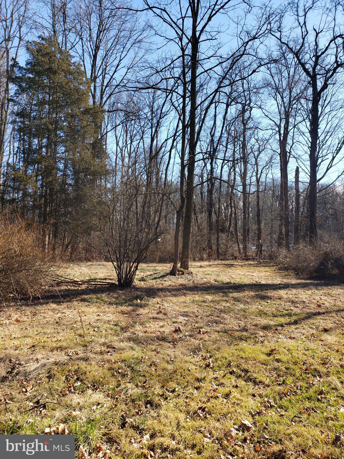 600 Mercer Road Princeton, NJ 08540 - Photo 17 of 22 Serene woodland retreat awaits you.