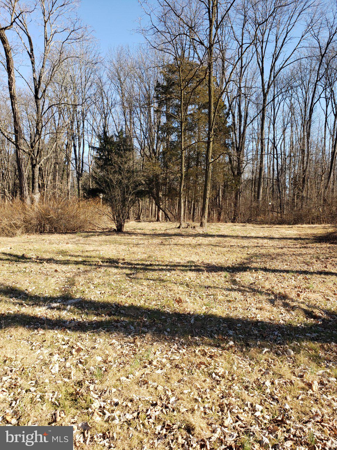 600 Mercer Road Princeton, NJ 08540 - Photo 18 of 22 Serene woodland retreat awaits you.