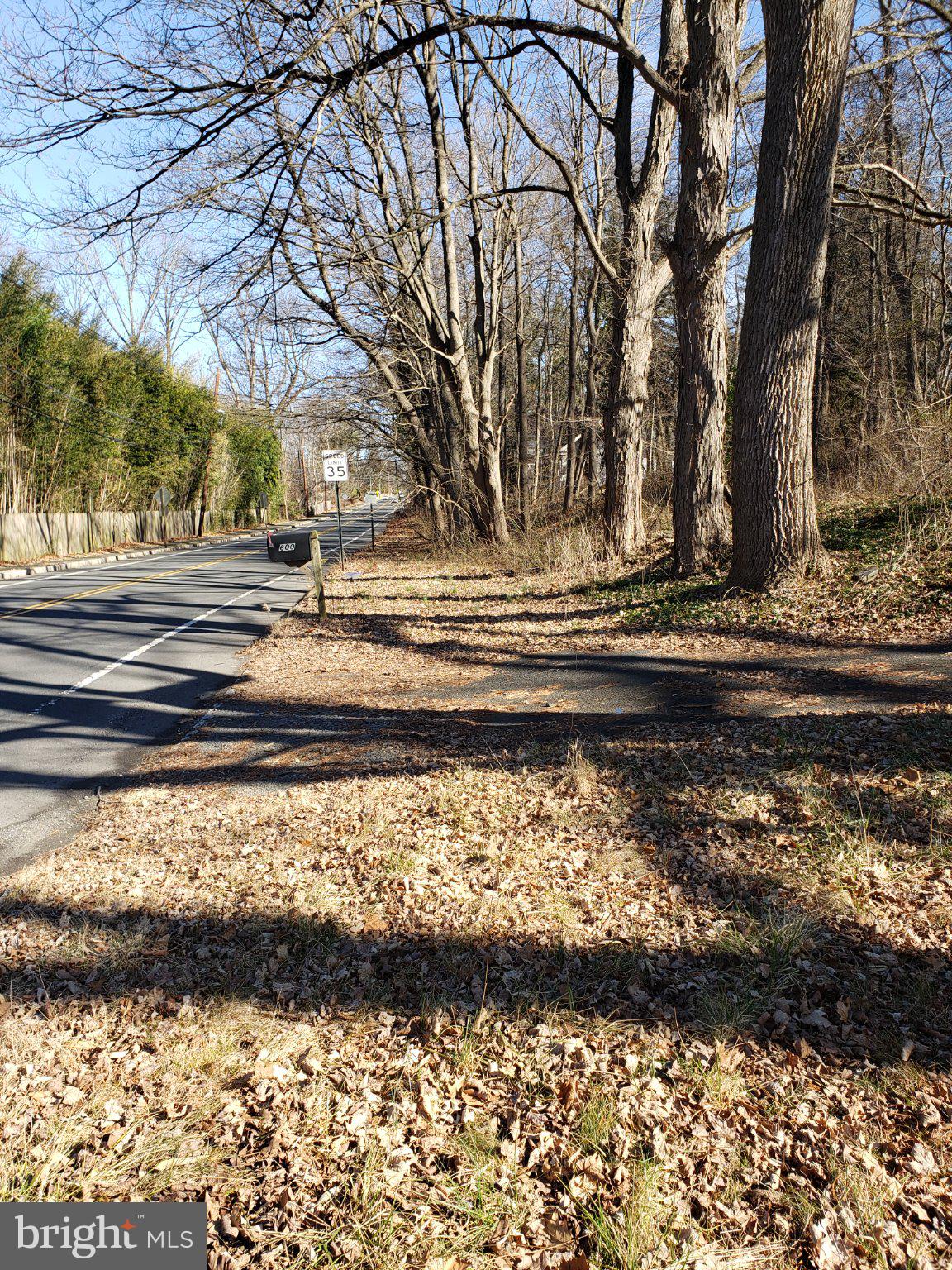 600 Mercer Road Princeton, NJ 08540 - Photo 20 of 22 Serene roadside with autumn leaves.