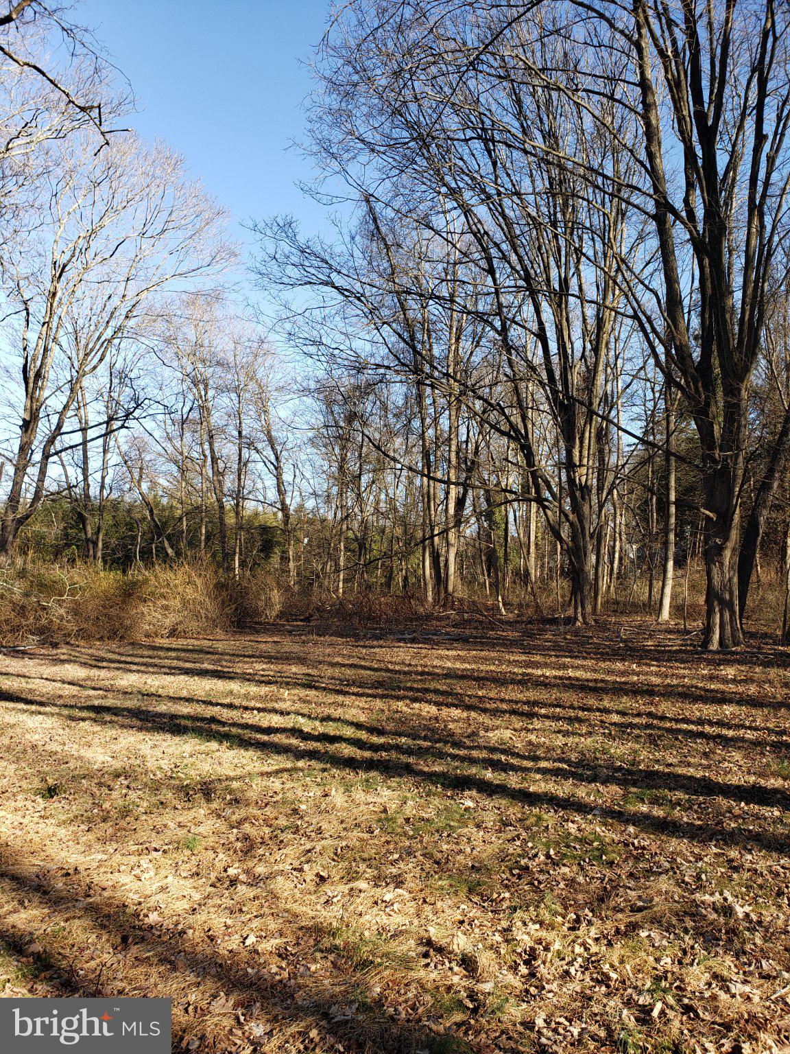 600 Mercer Road Princeton, NJ 08540 - Photo 2 of 22 Serene woodland retreat awaits discovery.