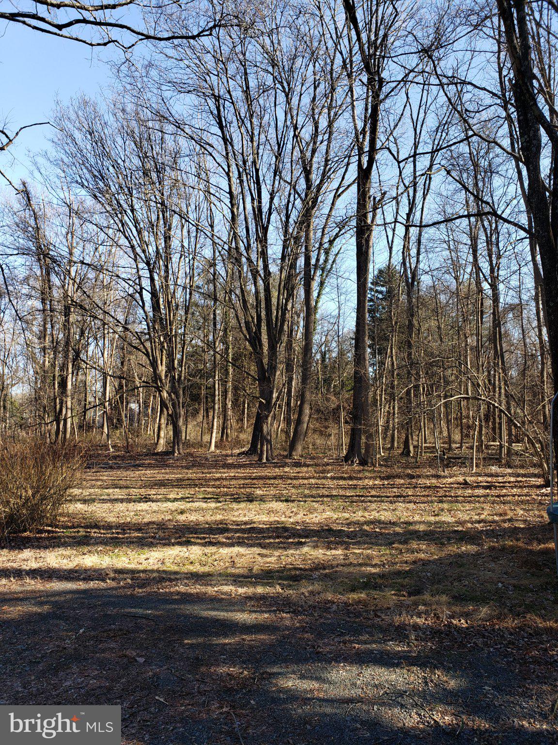 600 Mercer Road Princeton, NJ 08540 - Photo 4 of 22 Serene woodland retreat awaits discovery.