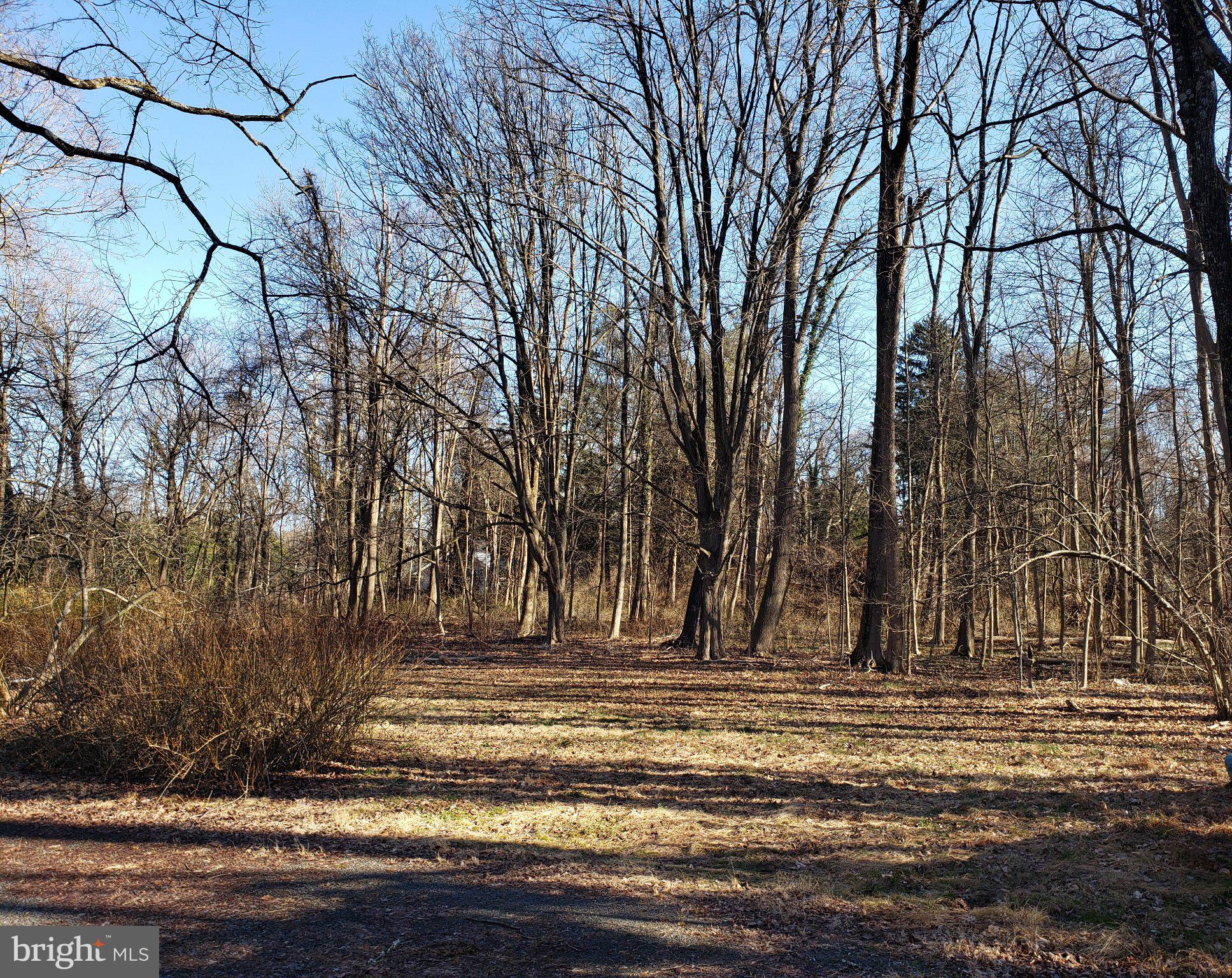 600 Mercer Road Princeton, NJ 08540 - Photo 5 of 22 Serene woodland retreat awaits exploration.