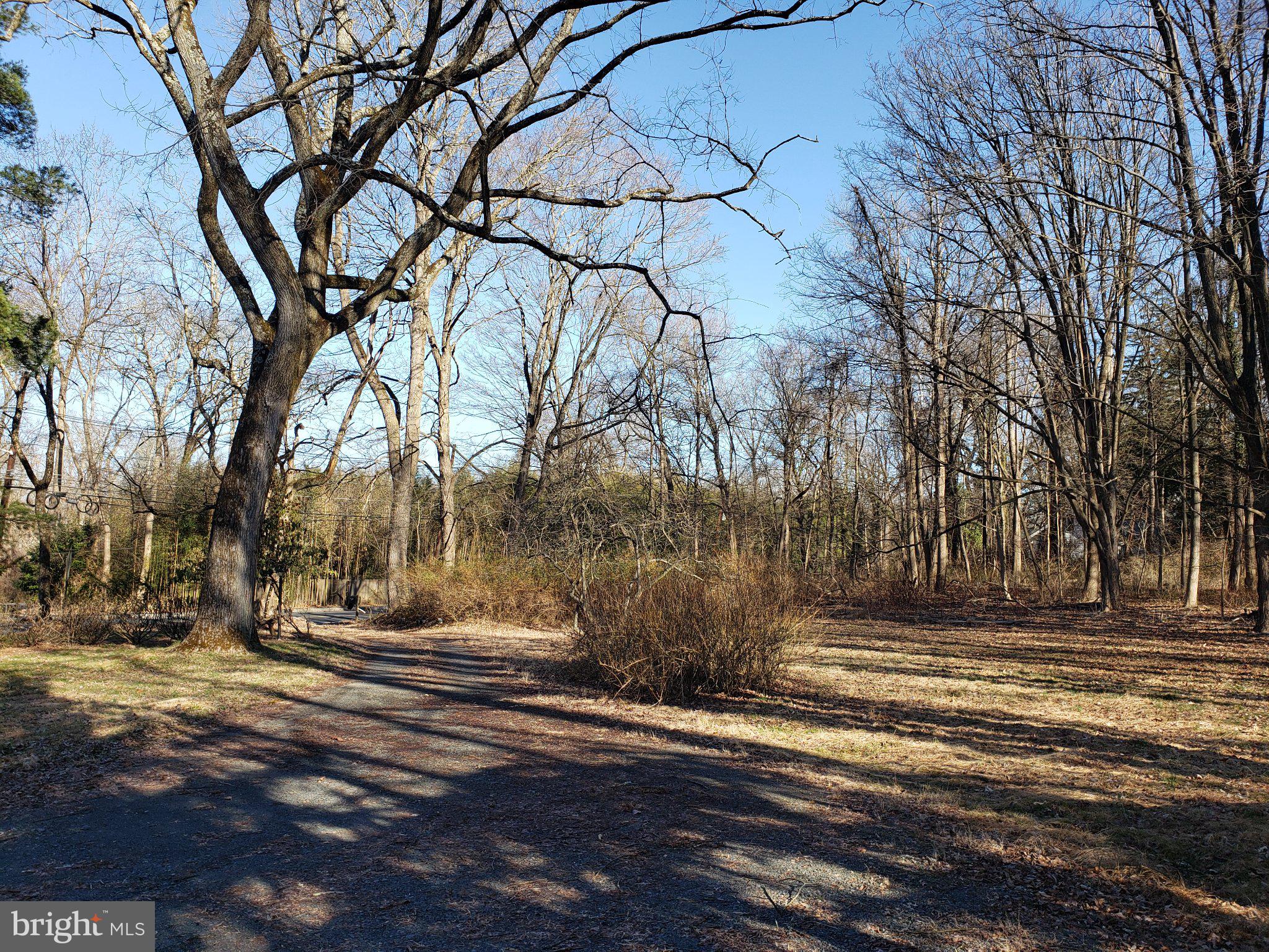 600 Mercer Road Princeton, NJ 08540 - Photo 6 of 22 Serene woodland path in winter light.