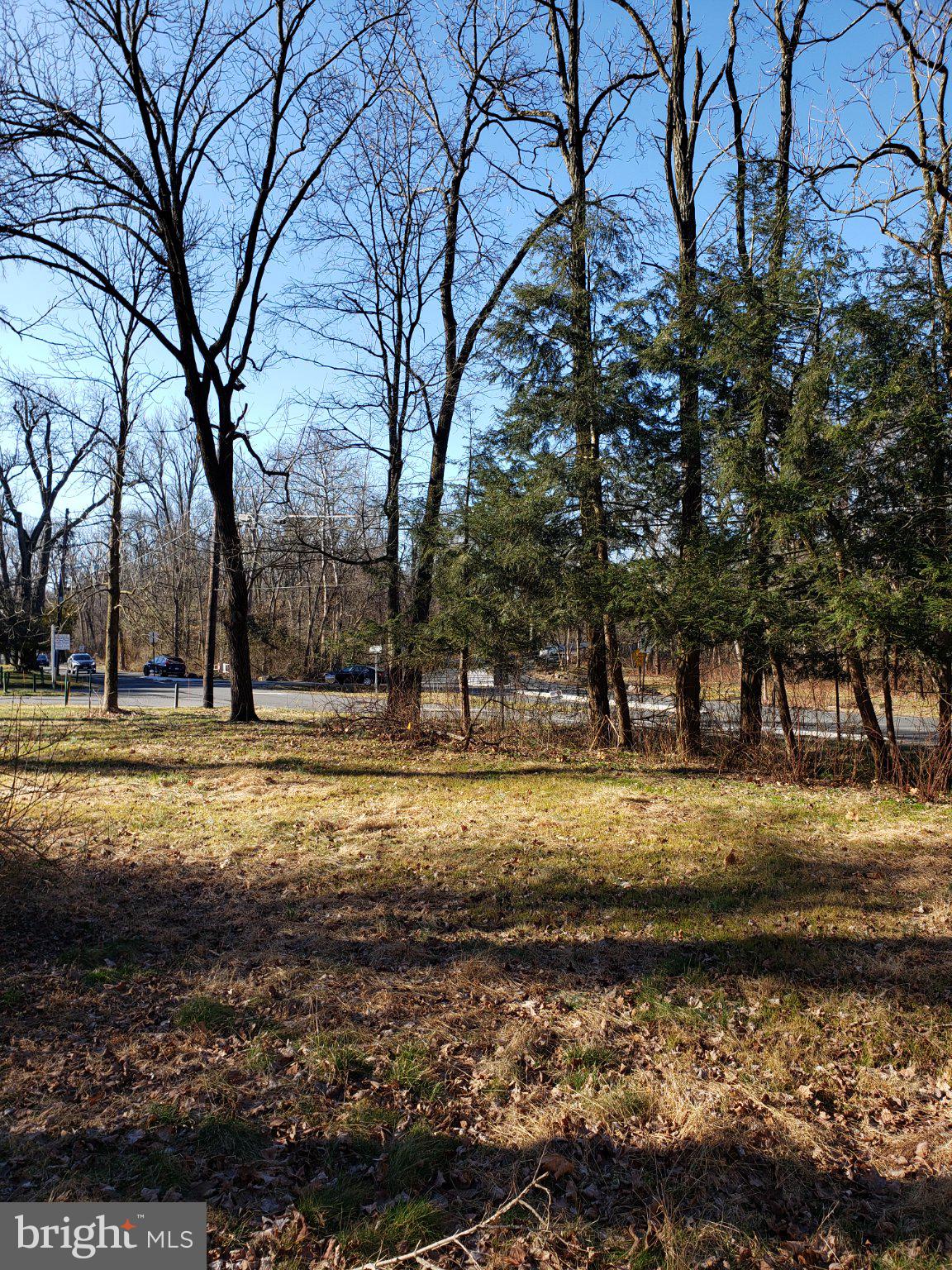 600 Mercer Road Princeton, NJ 08540 - Photo 7 of 22 Serene wooded lot awaits your vision.