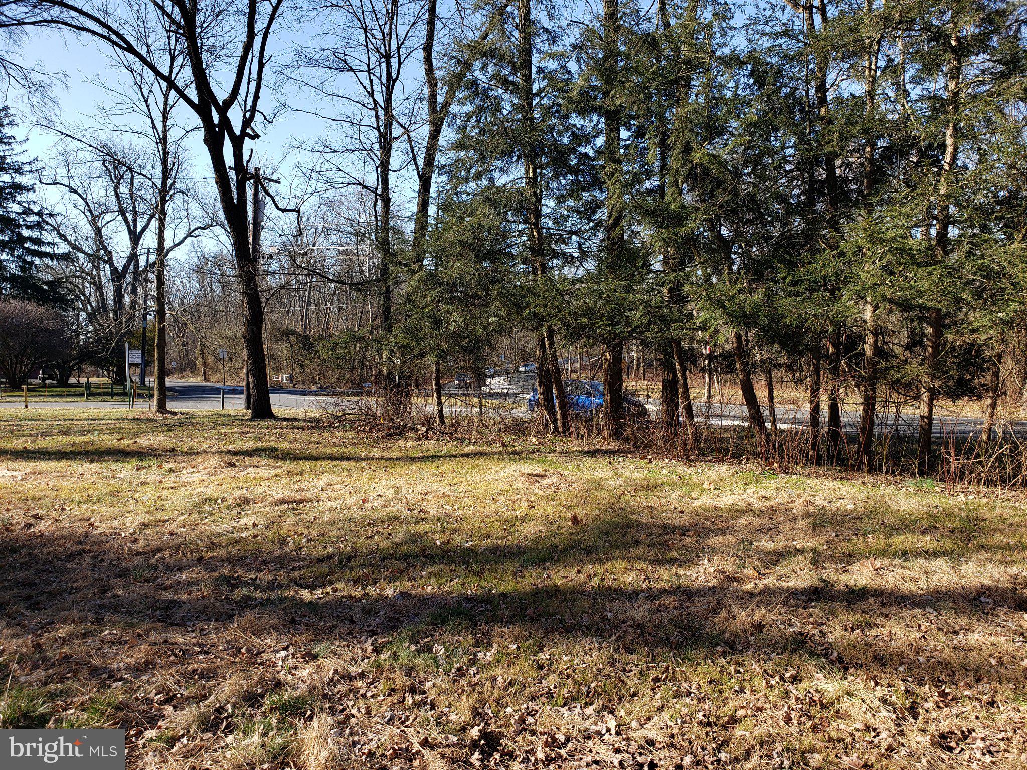 600 Mercer Road Princeton, NJ 08540 - Photo 9 of 22 Serene woodland view by the road.