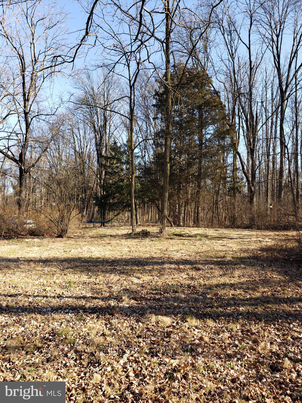 600 Mercer Road Princeton, NJ 08540 - Photo 10 of 22 Serene woodland retreat awaits discovery.