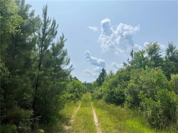 $199,900 | 1439 Leonard Chapel Road, Independence, LA 70443