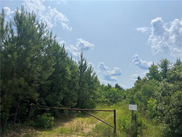 1439 Leonard Chapel Road Independence, LA 70443 - Photo 2 of 3