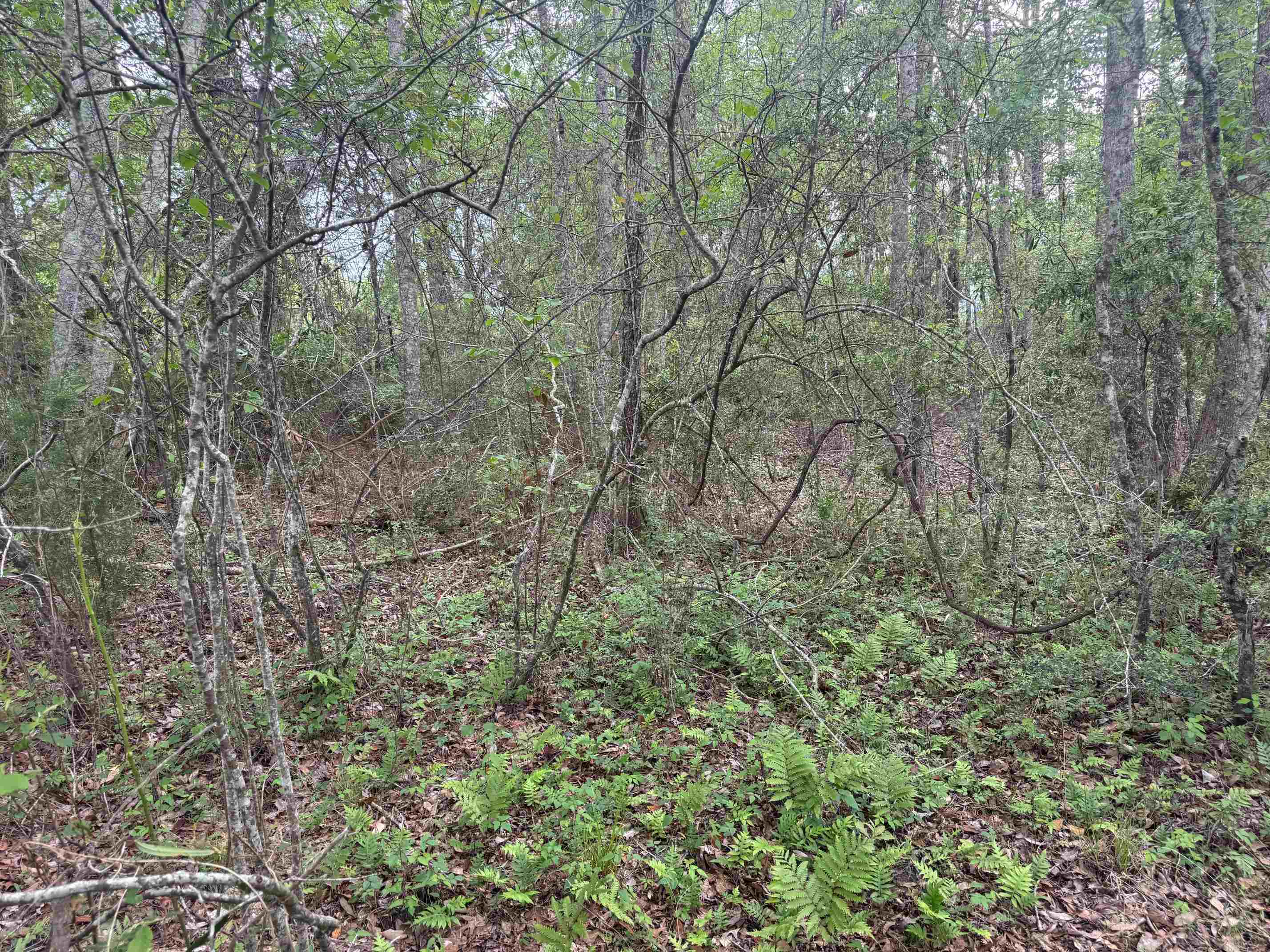 0 Co Road Andalusia, AL 36420 - Photo 34 of 34 Gallery Image 34