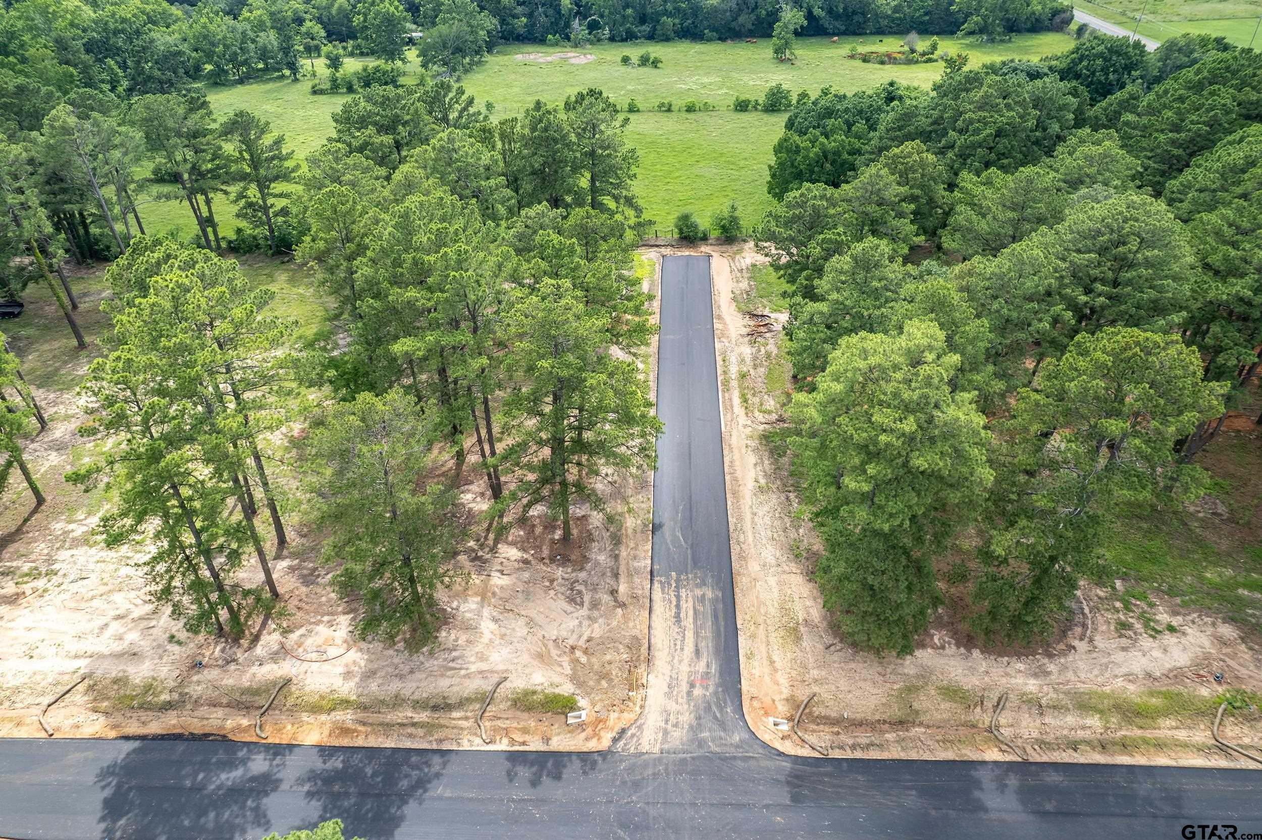 12140 Pinecrest Drive Flint, TX 75762 - Photo 14 of 24 a view of a garden with a tree