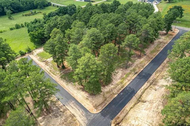 $60,000 | 12140 Pinecrest Drive, Flint, TX 75762