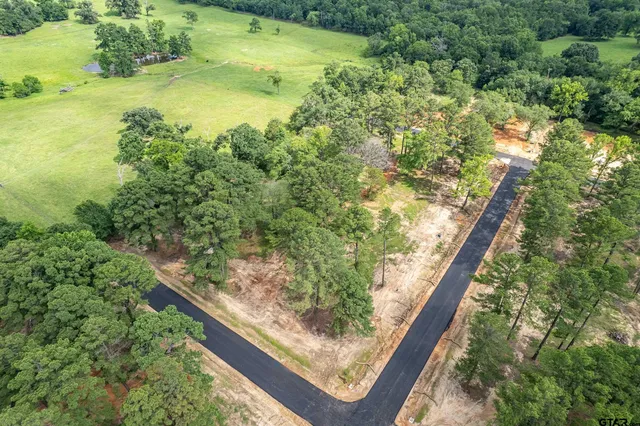 $60,000 | 12140 Pinecrest Drive, Flint, TX 75762