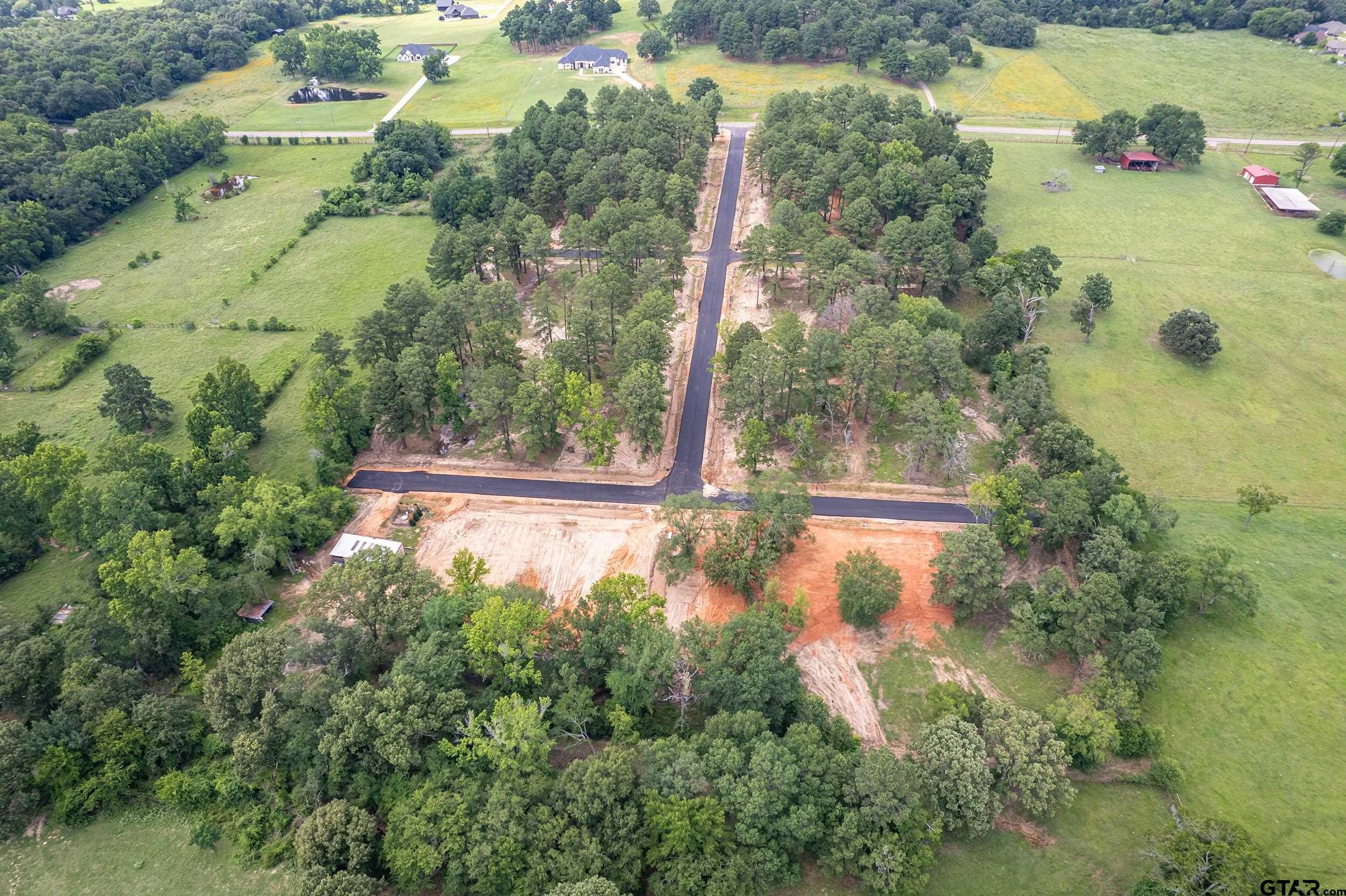 12140 Pinecrest Drive Flint, TX 75762 - Photo 8 of 24 a view of a garden from a balcony