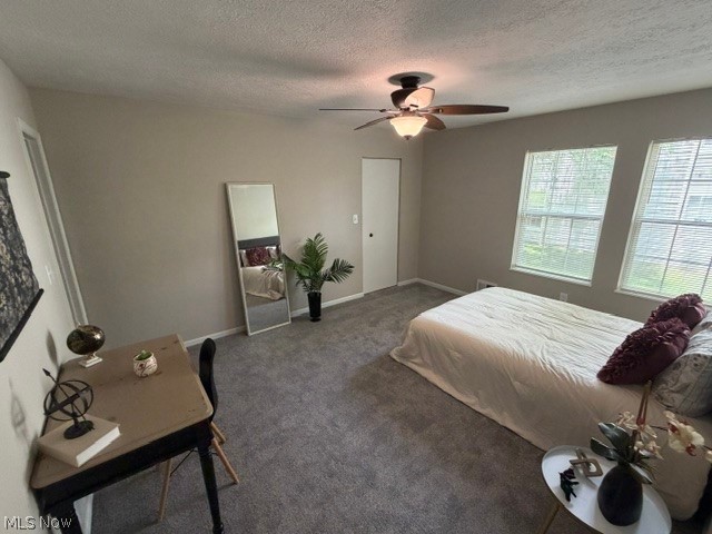 6745 Tippecanoe Road, Unit 2 Canfield, OH 44406 - Photo 16 of 23 Neutral wall paint featuring two windows with white blinds, a ceiling fan with integrated lighting, and gray carpeting
