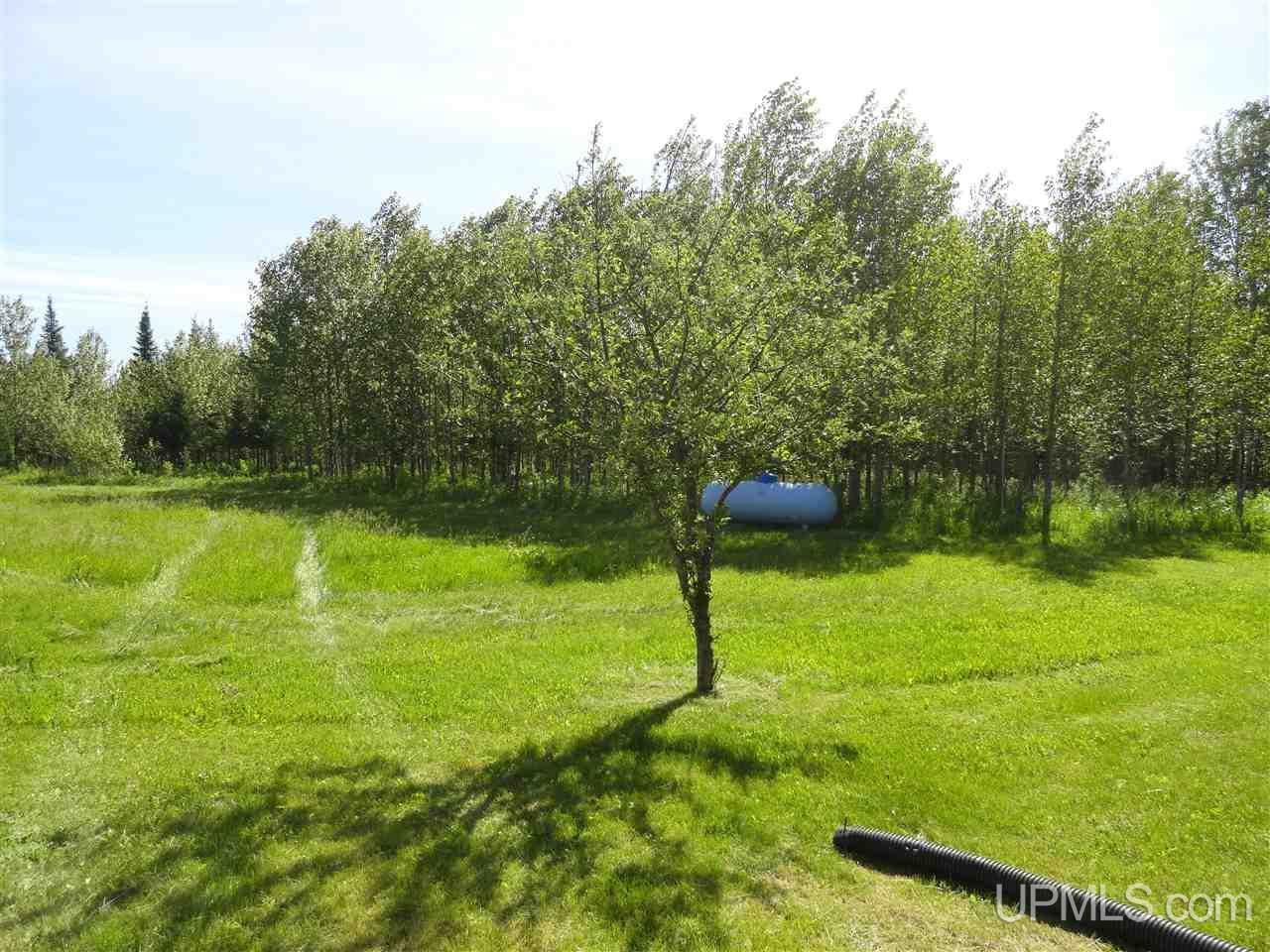 1378 Sa Road Cornell, MI 49818 - Photo 22 of 36
