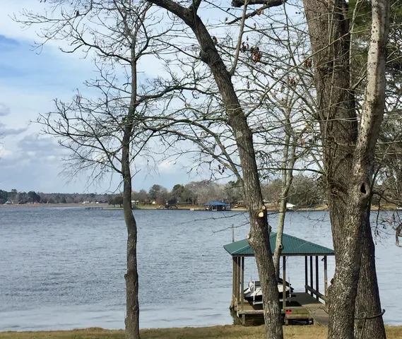 a view of a lake with a tree in the background
