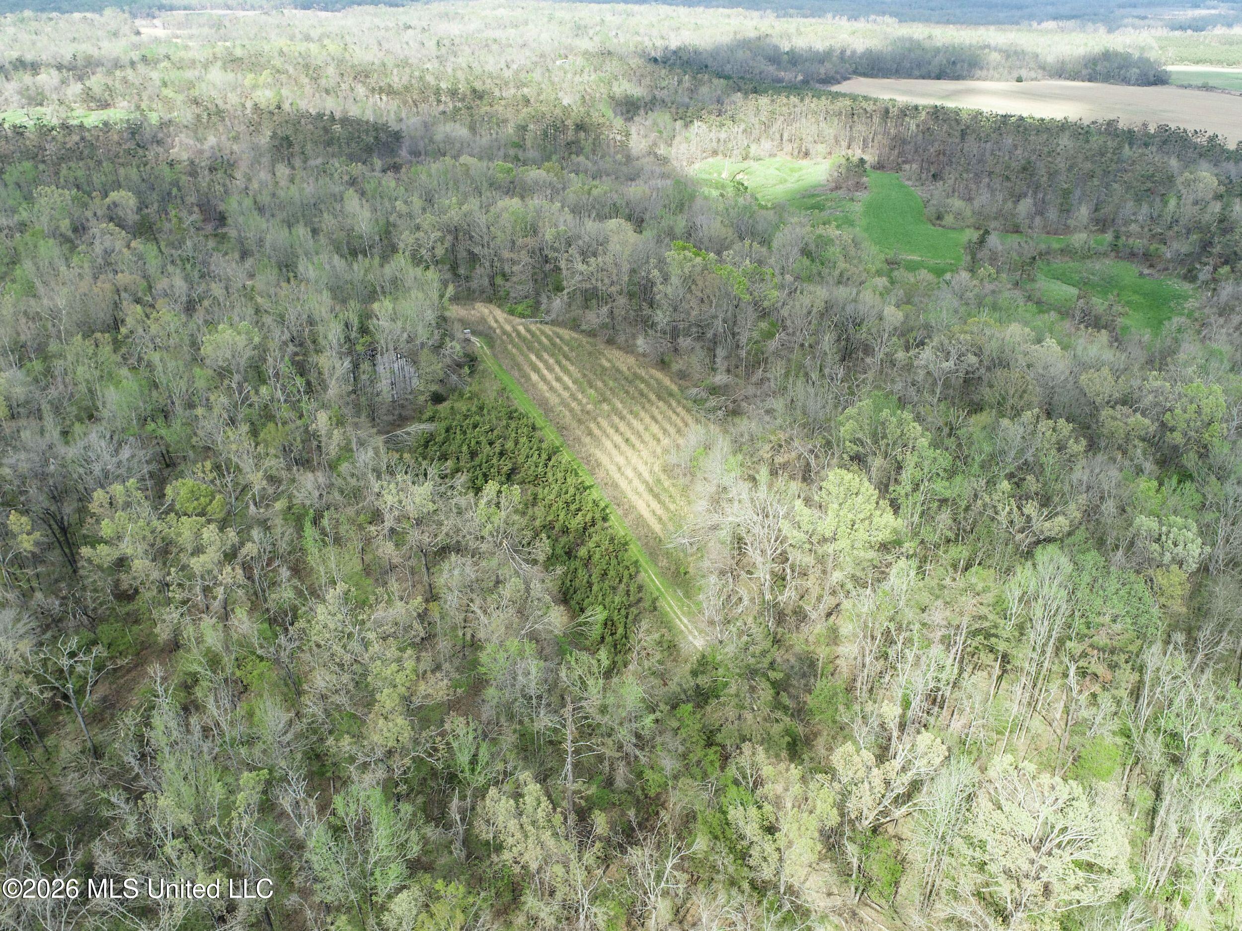 Chinqupin Road Lexington, MS 39095 - Photo 98 of 210 7chqpn28