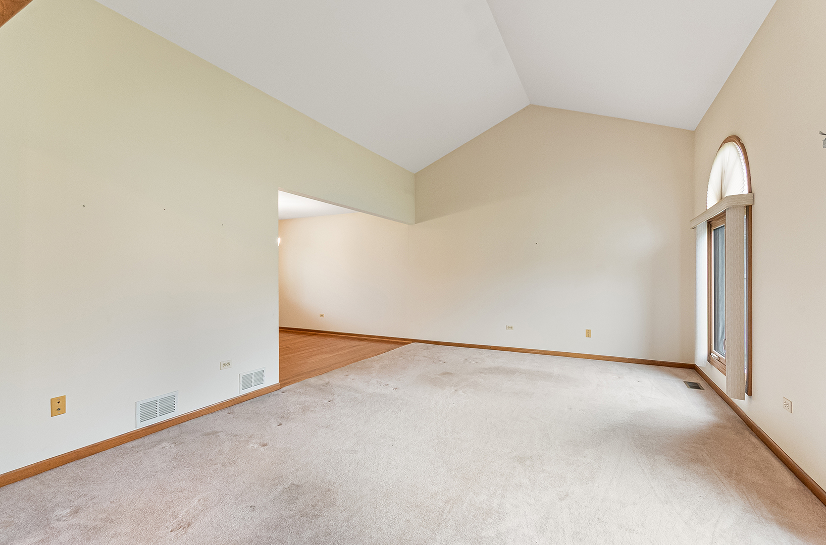 891 Young Street Lemont, IL 60439 - Photo 2 of 23