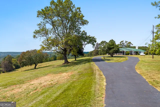 a view of a swimming pool with a yard and palm trees