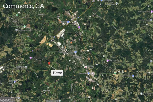 a view of a swimming pool with a yard and plants