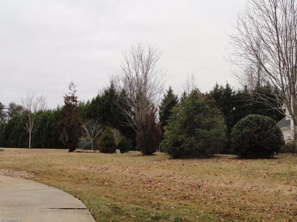 609 Blenheim Court Oak Ridge, NC 27310 - Photo 18 of 20