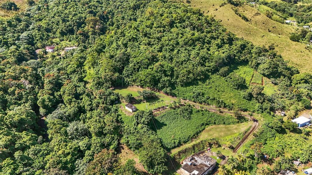 184 Bo Mulas Patillas, PR 00723 - Photo 14 of 28