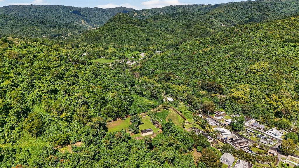 184 Bo Mulas Patillas, PR 00723 - Photo 17 of 28 a view of a lush green forest with a lush green hillside
