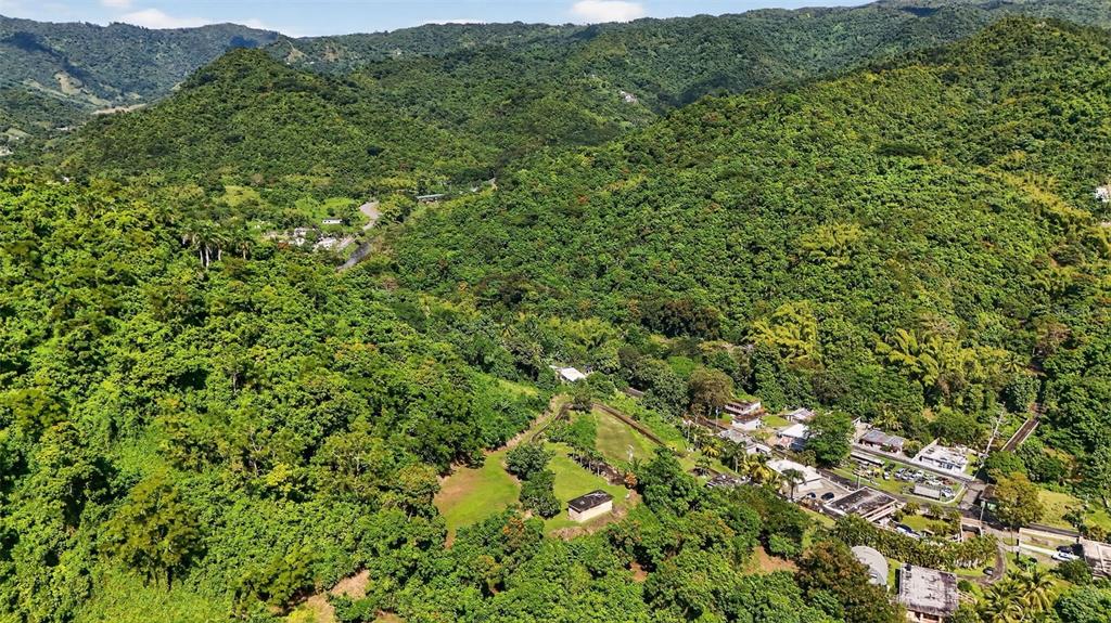184 Bo Mulas Patillas, PR 00723 - Photo 18 of 28 a view of a lush green field with a houses