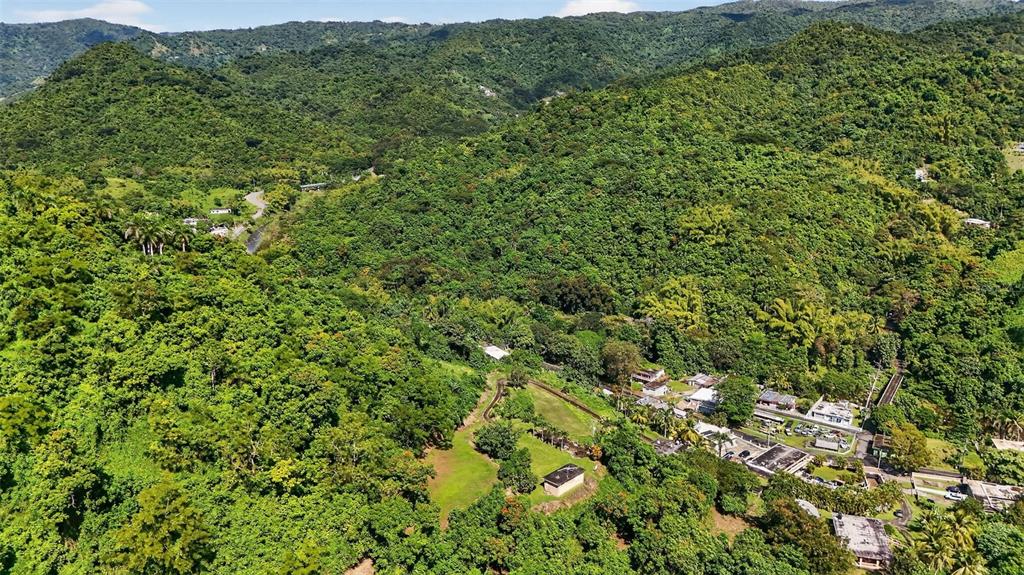 184 Bo Mulas Patillas, PR 00723 - Photo 19 of 28 a view of a large yard with lots of green space