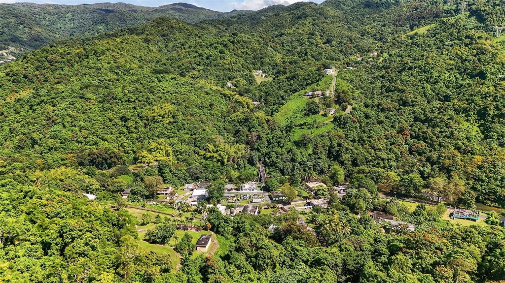 184 Bo Mulas Patillas, PR 00723 - Photo 20 of 28 a view of a lush green forest with lush green forest