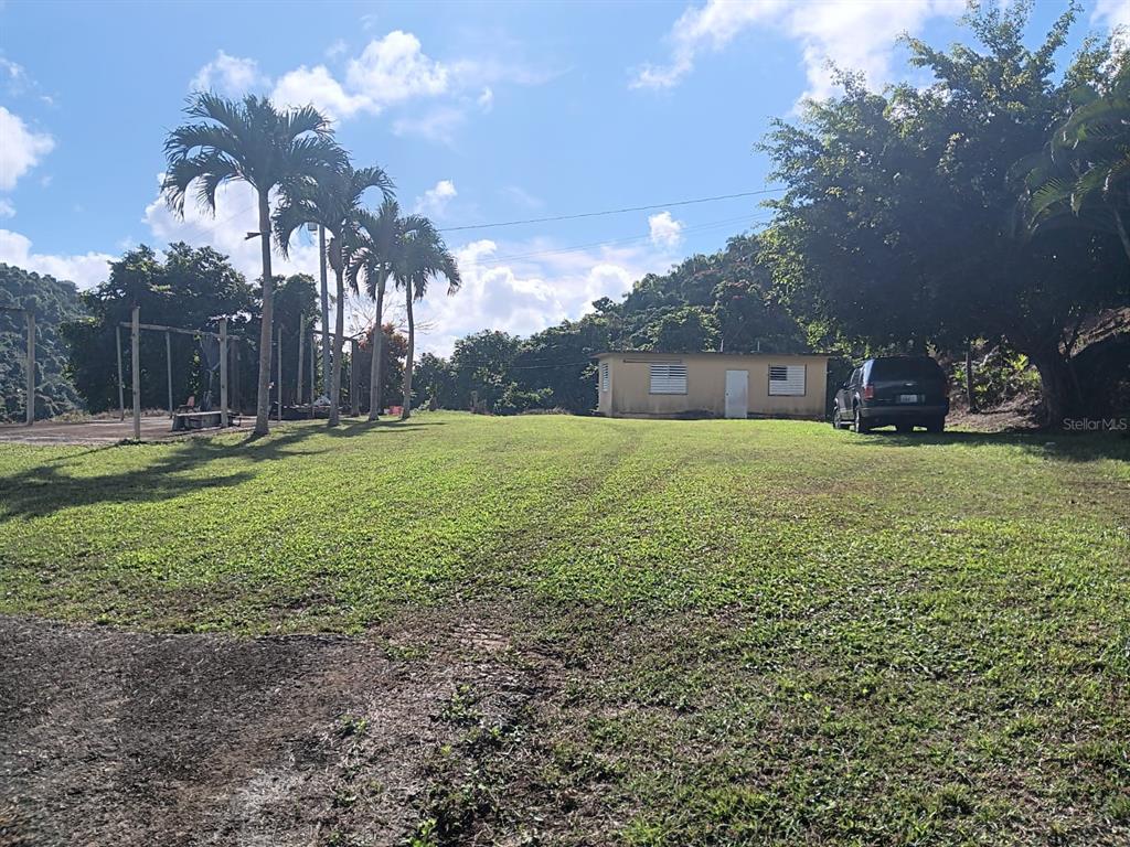 184 Bo Mulas Patillas, PR 00723 - Photo 2 of 28 a view of a field with an trees
