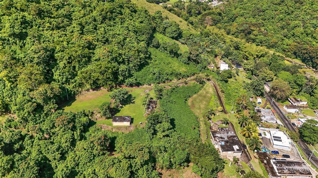 184 Bo Mulas Patillas, PR 00723 - Photo 24 of 28 an aerial view of residential houses with outdoor space