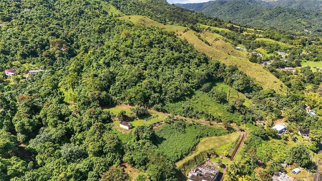 184 Bo Mulas Patillas, PR 00723 - Photo 25 of 28