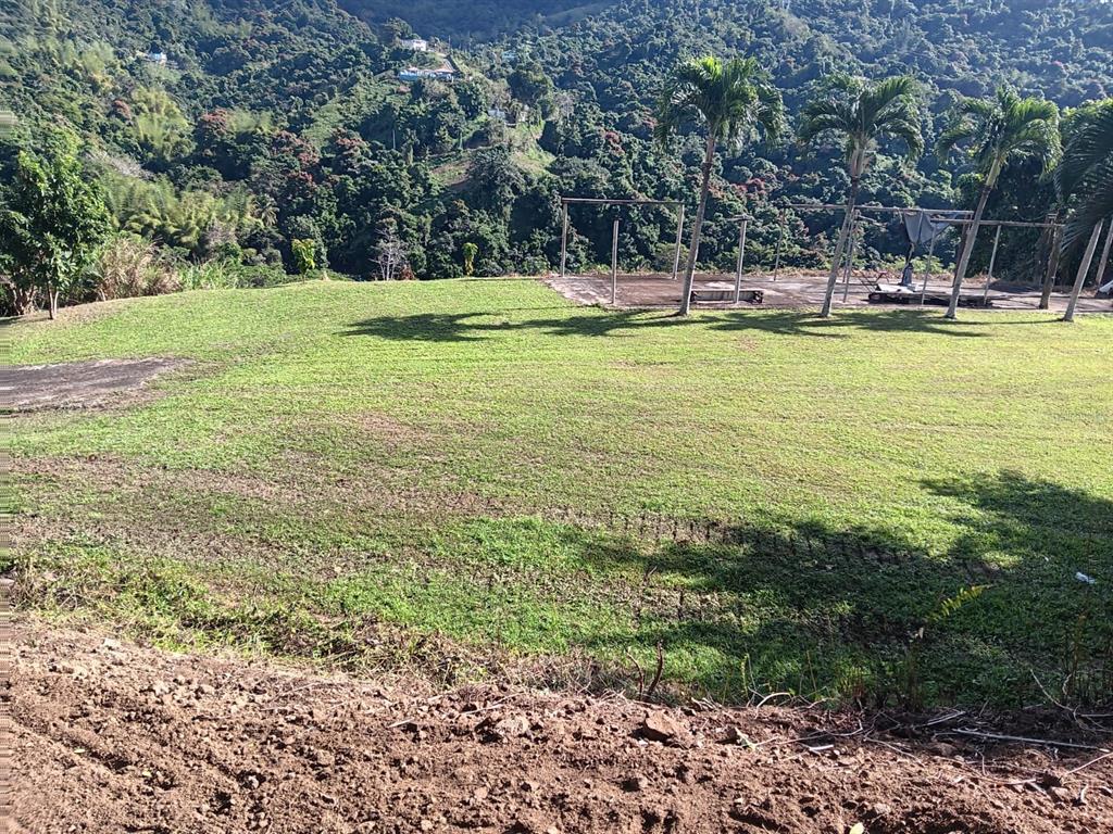 184 Bo Mulas Patillas, PR 00723 - Photo 3 of 28 a view of a swimming pool with a lawn chairs and plants